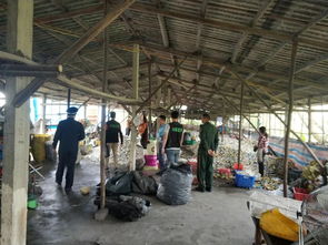 環保利劍高懸，廢塑料廠“整改”豈容“暗度陳倉”？